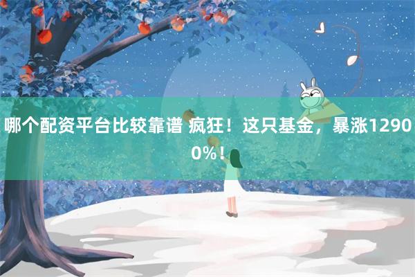 哪个配资平台比较靠谱 疯狂！这只基金，暴涨12900%！