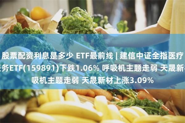 股票配资利息是多少 ETF最前线 | 建信中证全指医疗保健设备与服务ETF(159891)下跌1.06% 呼吸机主题走弱 天晟新材上涨3.09%