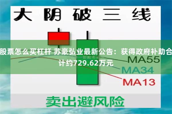 股票怎么买杠杆 苏豪弘业最新公告：获得政府补助合计约729.62万元
