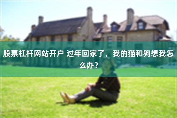 股票杠杆网站开户 过年回家了，我的猫和狗想我怎么办？