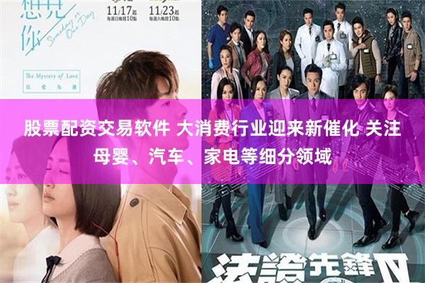 股票配资交易软件 大消费行业迎来新催化 关注母婴、汽车、家电等细分领域