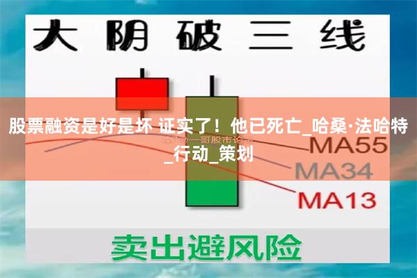 股票融资是好是坏 证实了！他已死亡_哈桑·法哈特_行动_策划