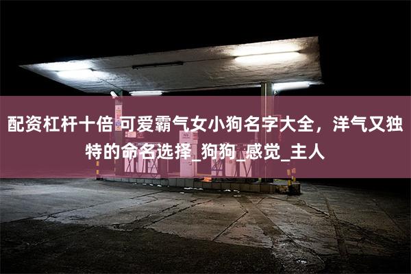 配资杠杆十倍 可爱霸气女小狗名字大全，洋气又独特的命名选择_狗狗_感觉_主人