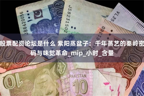 股票配资论坛是什么 紫阳蒸盆子：千年蒸艺的秦岭密码与味觉革命_mip_小时_含量