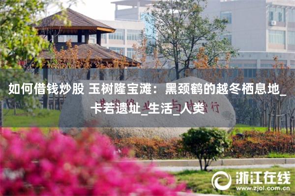 如何借钱炒股 玉树隆宝滩：黑颈鹤的越冬栖息地_卡若遗址_生活_人类