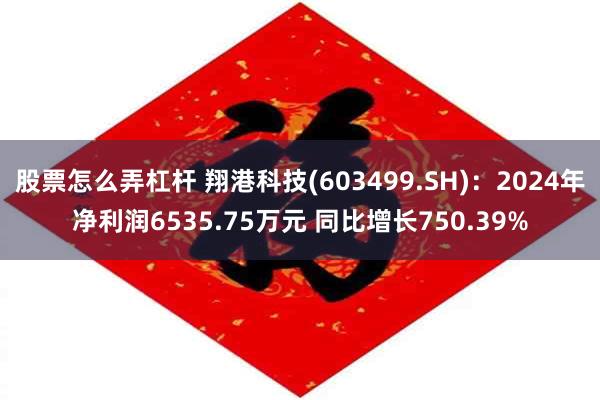 股票怎么弄杠杆 翔港科技(603499.SH)：2024年净利润6535.75万元 同比增长750.39%
