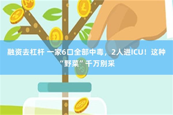 融资去杠杆 一家6口全部中毒，2人进ICU！这种“野菜”千万别采