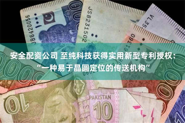 安全配资公司 至纯科技获得实用新型专利授权：“一种易于晶圆定位的传送机构”