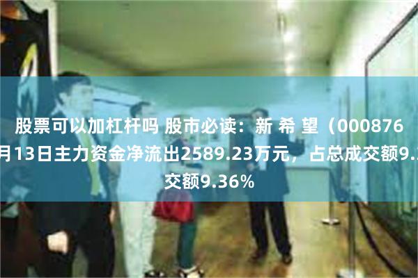 股票可以加杠杆吗 股市必读：新 希 望（000876）5月13日主力资金净流出2589.23万元，占总成交额9.36%