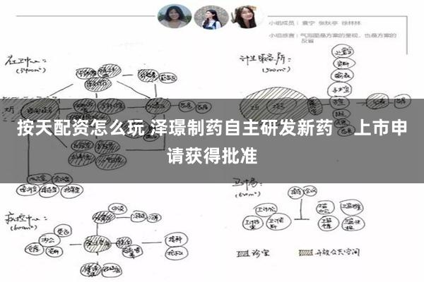 按天配资怎么玩 泽璟制药自主研发新药    上市申请获得批准
