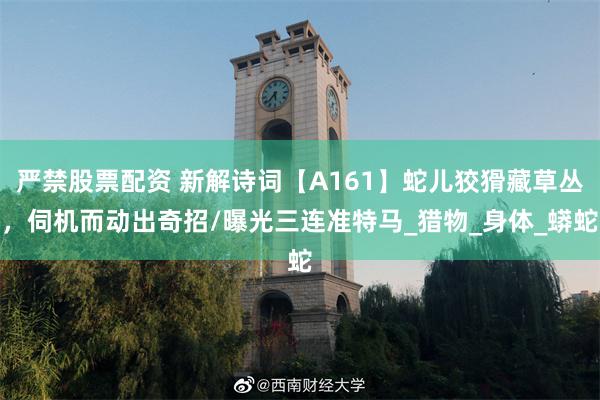 严禁股票配资 新解诗词【A161】蛇儿狡猾藏草丛，伺机而动出奇招/曝光三连准特马_猎物_身体_蟒蛇