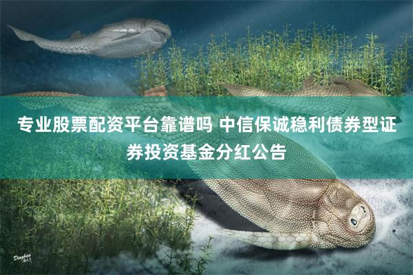 专业股票配资平台靠谱吗 中信保诚稳利债券型证券投资基金分红公告