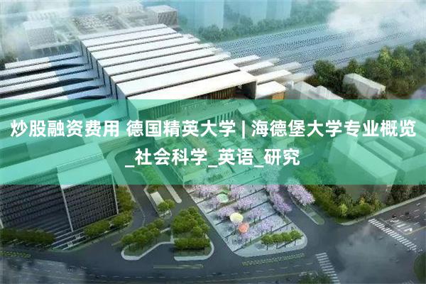 炒股融资费用 德国精英大学 | 海德堡大学专业概览_社会科学_英语_研究
