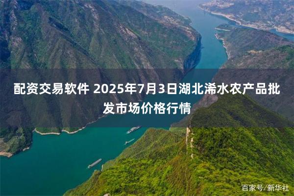 配资交易软件 2025年7月3日湖北浠水农产品批发市场价格行情