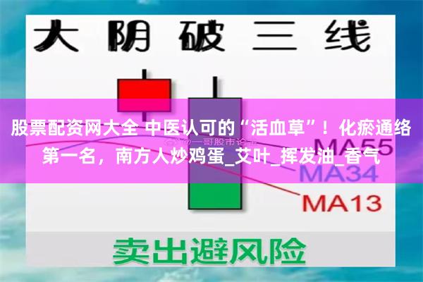 股票配资网大全 中医认可的“活血草”！化瘀通络第一名，南方人炒鸡蛋_艾叶_挥发油_香气