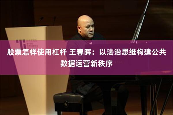 股票怎样使用杠杆 王春晖：以法治思维构建公共数据运营新秩序