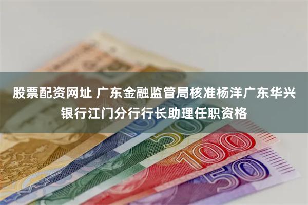 股票配资网址 广东金融监管局核准杨洋广东华兴银行江门分行行长助理任职资格