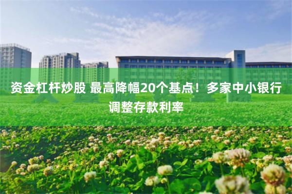 资金杠杆炒股 最高降幅20个基点！多家中小银行调整存款利率