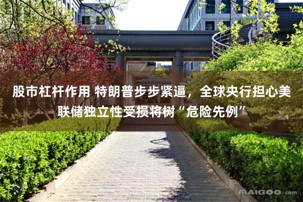 股市杠杆作用 特朗普步步紧逼，全球央行担心美联储独立性受损将树“危险先例”