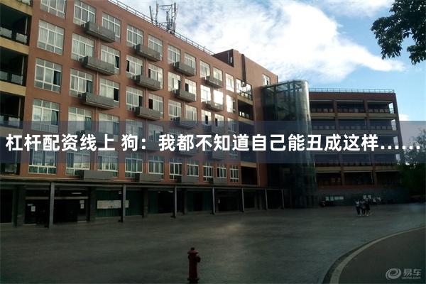 杠杆配资线上 狗：我都不知道自己能丑成这样……