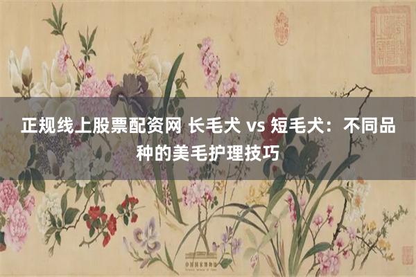 正规线上股票配资网 长毛犬 vs 短毛犬：不同品种的美毛护理技巧